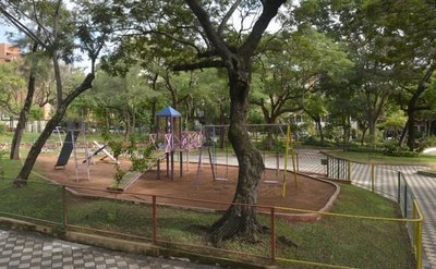 Los árboles embellecen las ciudades - Nacionales - ABC Color