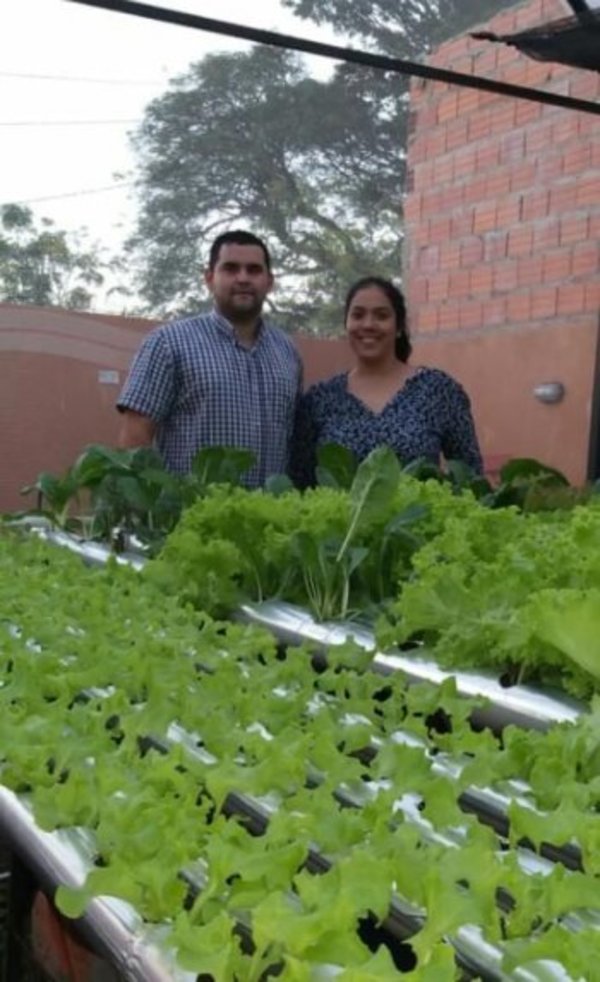 Con el método “hidropónico” de cultivo, jóvenes crean su propia huerta orgánica - Periodismo Joven - ABC Color