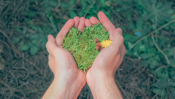 Reconocimiento Verde 2019: estas son las mejores prácticas empresariales