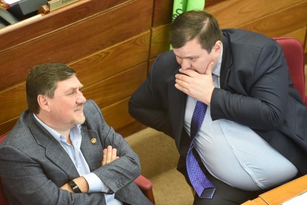 Pérdida de investidura ‘ilegal’, según Llano - Nacionales - ABC Color