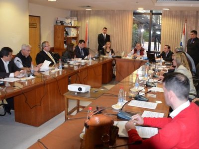 Hay incertidumbre en el Senado sobre la expulsión de Amarilla