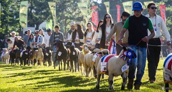 San Miguel: Continúan las actividades del Festival del “Ovecha Rague” - Digital Misiones