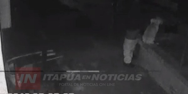 DENUNCIAN ACTO DE ZOOFILIA CON UN PERRO EN EL CIRCUITO COMERCIAL ENCARNACIÓN.