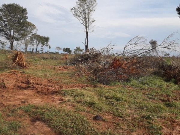 Constatan deforestacion en Villa Ygatimí