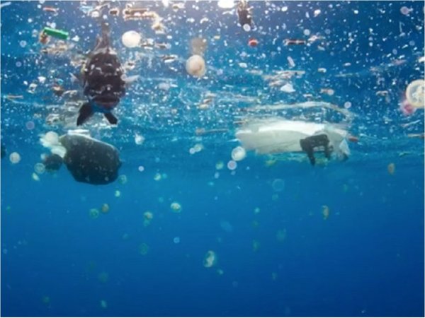 Descubren grandes cantidades de microplásticos en las profundidades marinas