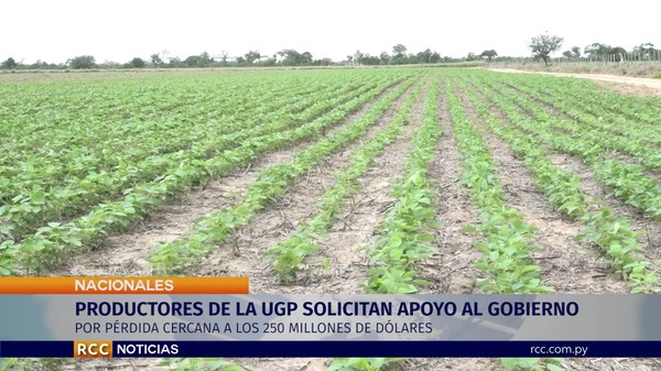 Productores proponen reestructuración de deuda para afrontar crisis de la soja