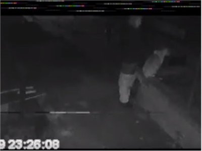 Grabaron a un depravado que intentó abusar de un perro