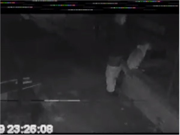 Grabaron a un depravado que intentó abusar de un perro