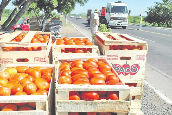 Facilitarán control de frutihortícolas | Diario Vanguardia 12