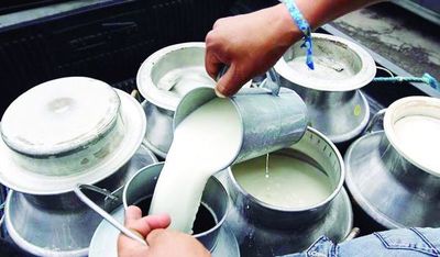 Industria láctea: "Leve incremento de precio obedece a factores cíclicos" » Ñanduti