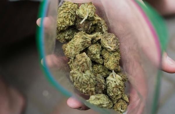 Policía pregunta en las redes sociales quién perdió 500 kilos de marihuana - C9N