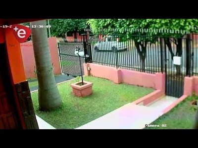 ALLANAN VIVIENDAS EN BÚSQUEDA DE DELINCUENTES