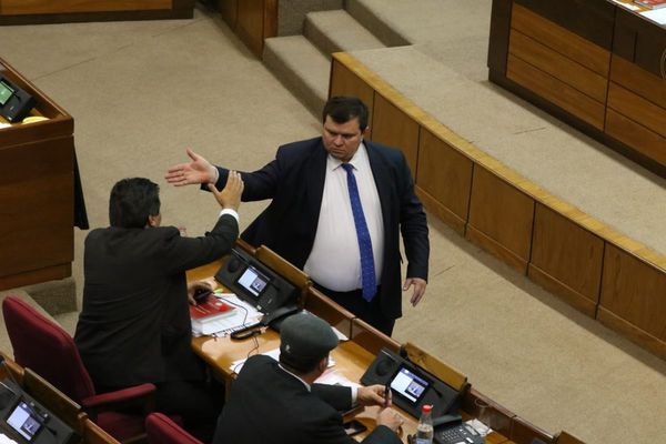 Senado retira su investidura a Dionisio Amarilla