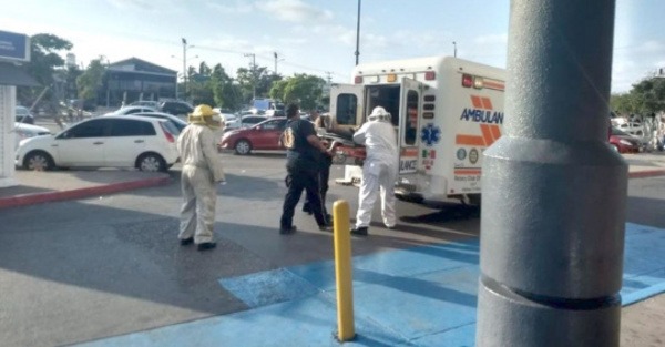 Abejas asesinas dejan 9 heridos en Sinaloa