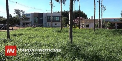 NARANJITO: SISTEMA SILVOPASTORIL DEMUESTRA FACTIBILIDAD EN SU APLICACIÓN.