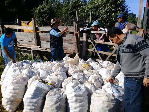 GOBERNACIÓN DE ITAPÚA APOYA A PRODUCTORES DE NARANJA DE GRAL. DELGADO