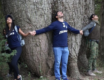 Continúan las inscripciones de árboles para el concurso “Colosos de la Tierra” » Ñanduti