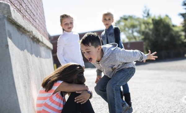 HOY / Ñemby: MEC interviene tras bullying fatal y reprocha a padres por fácil acceso a redes