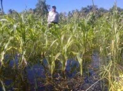 Lluvias afectan al sector agrícola en Ñeembucu - .::RADIO NACIONAL::.