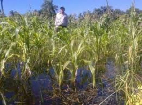Lluvias afectan al sector agrícola en Ñeembucu - .::RADIO NACIONAL::.
