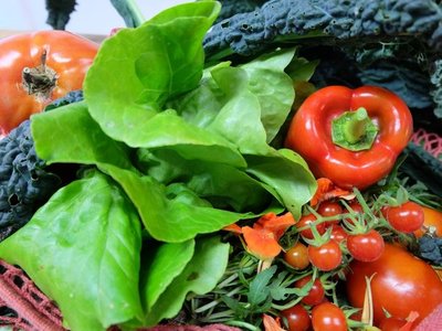 Comer alimentos inocuos es "responsabilidad de todos", dice la ONU