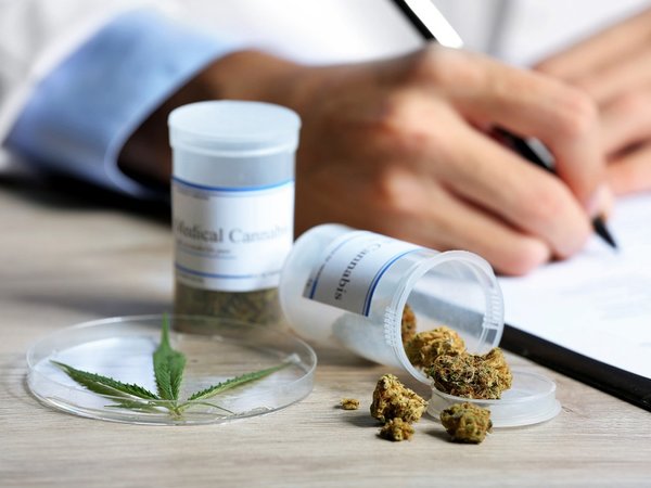 Neurocirujano trata a más de 2.000 pacientes con cannabis medicinal