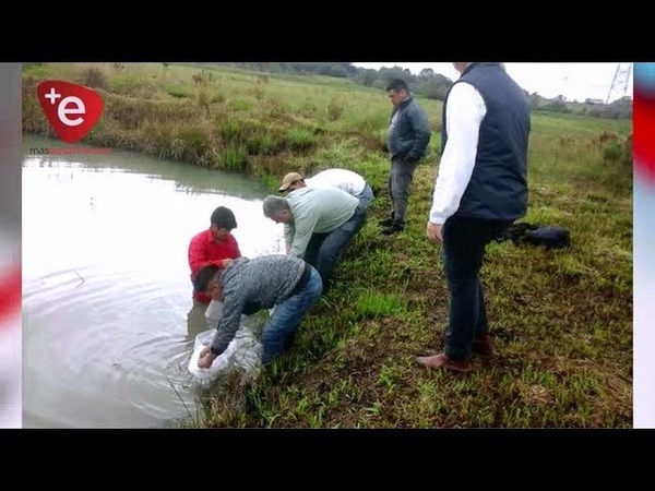 EBY Y GOBERNACIÓN DE ITAPÚA FORTALECEN CRÍA DE PECES EN COMUNIDADES INDIGENAS