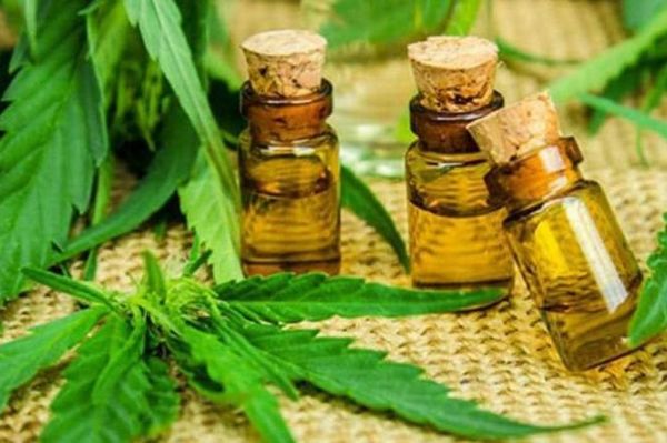 Neurocirujano, en desacuerdo con cannabis medicinal “casero”