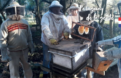 Impulsan desarrollo del sector apícola - ADN Paraguayo
