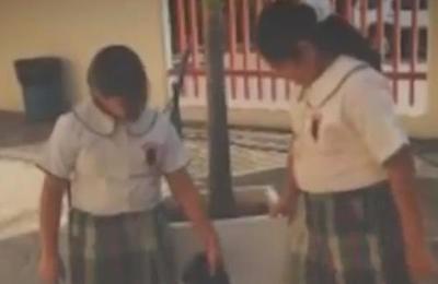 Bullying y sus fatales consecuencias - C9N