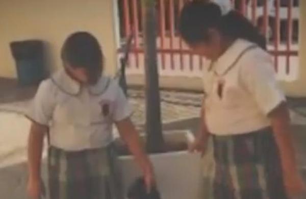 Bullying y sus fatales consecuencias - C9N