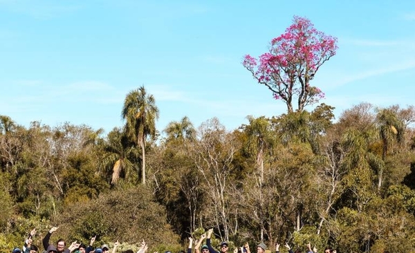 HOY / Siguen las inscripciones para el concurso que premia al árbol más grande del país