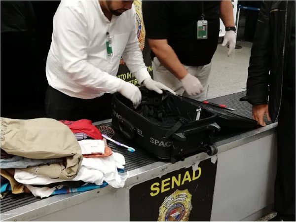 Can antidrogas detecta cocaína en la maleta de un británico