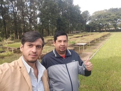Sanlorenzanos arborizarán zona destruida por obras del metrobús - Nacionales - ABC Color