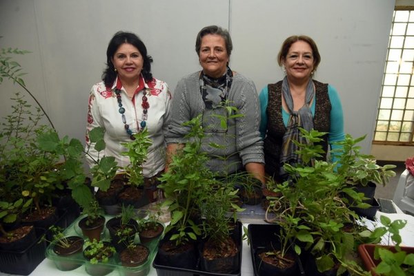 Sociedad de Horticultura y Jardinería del Paraguay cumple 56 años - Nacionales - ABC Color