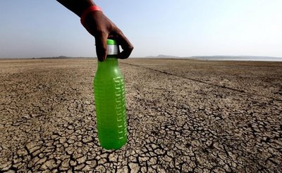 Sequía en India provoca comportamientos extraños en animales - Internacionales - ABC Color