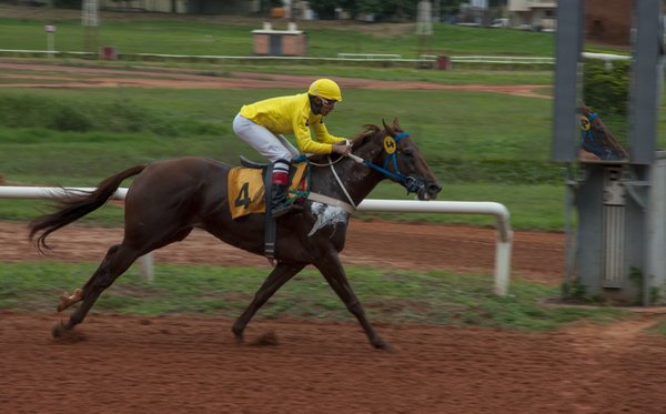 El premio Paz del Chaco es la atracción principal del turf - Versus