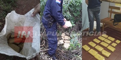 HALLAN MARIHUANA ABANDONADA EN UN BALDÍO DE ARROYO PORÃ.