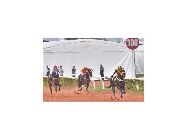 Premios especiales en el turf