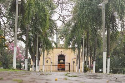 Restaura iglesia de Altos