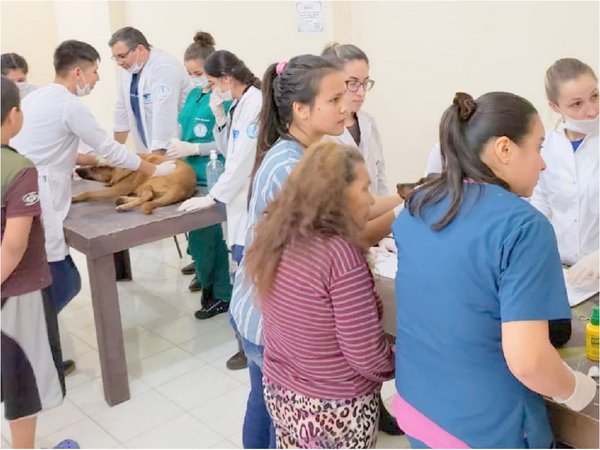 Damnificados y sus mascotas reciben asistencia en el Bañado Sur