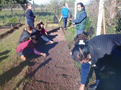Promueven huertas escolares