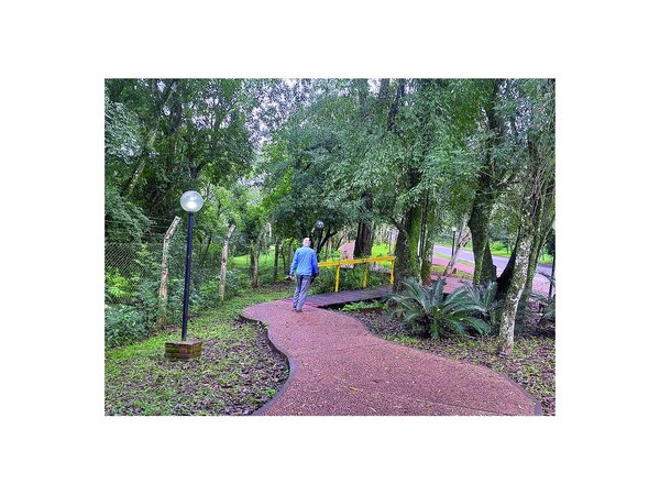 Un caminero único en Obligado