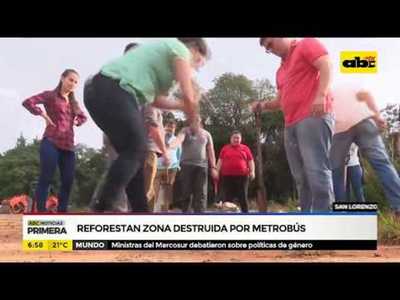 Reforestan zona destruida por metrobús - Tv - ABC Color