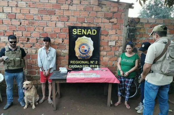 Can antidrogas detecta crack en allanamiento | Diario Vanguardia 08