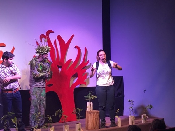 Estudiantes apreciaron obras teatrales de contenido ambiental - ADN Paraguayo