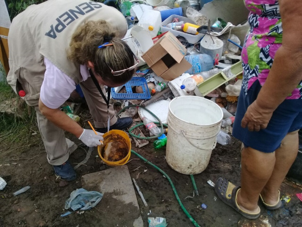 Casos de dengue descienden en Alto Paraná y Amambay - ADN Paraguayo