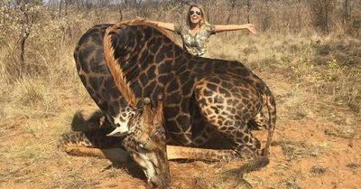 Cazadora habla con orgullo de rara jirafa que asesinó - ADN Paraguayo