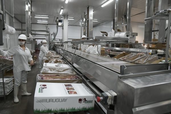 Paraguay analiza crear un Instituto de la Carne similar al INAC de Uruguay