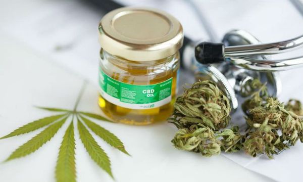 INSTITUCIONES TRABAJAN PARA REGLAMENTAR PRODUCCIÓN DEL CANNABIS MEDICINAL